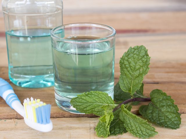 Why Mint Feels Cold & Other Flavor Mysteries (featured image)